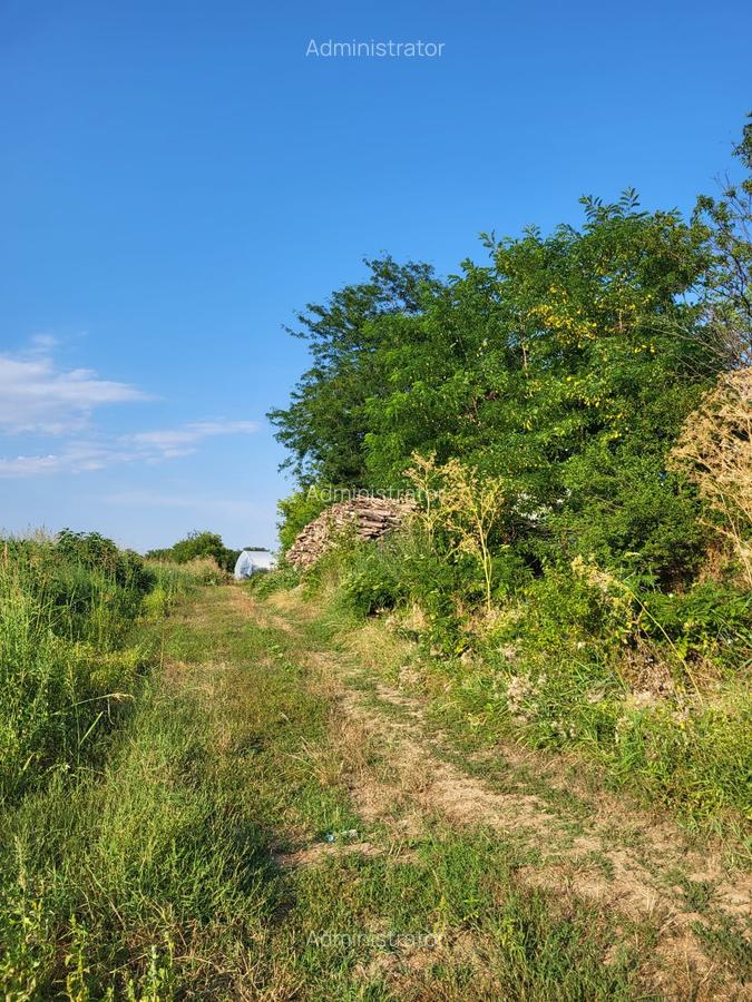 VANZARE TEREN EXTRAVILAN - 4