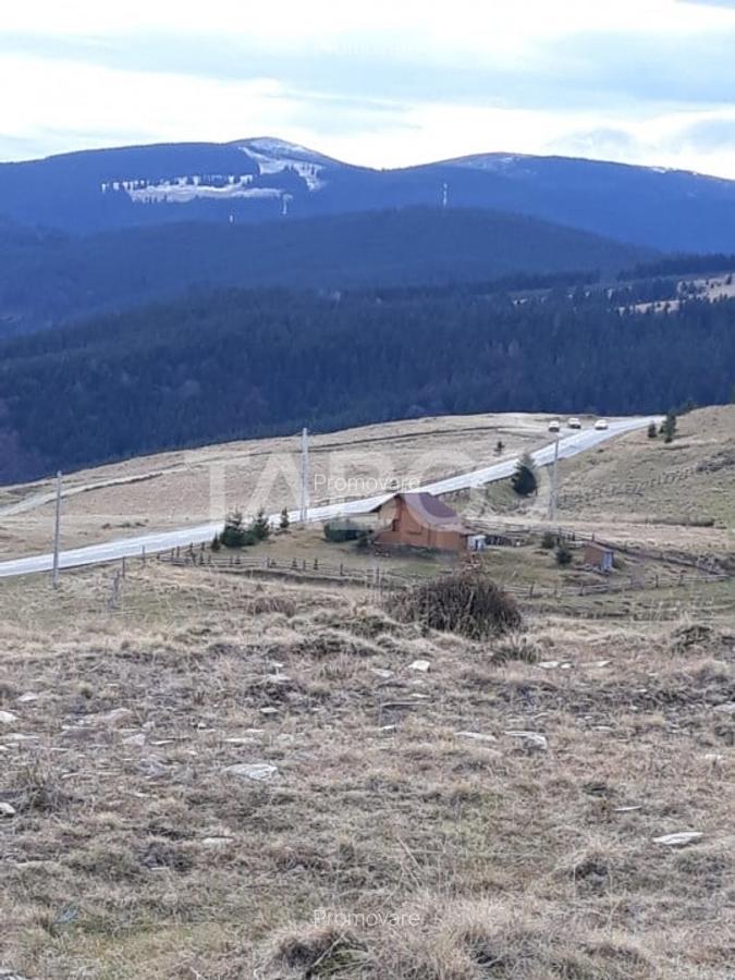 De vanzare teren extravilan 3854 mp acces auto Paltinis Sibiu - 4