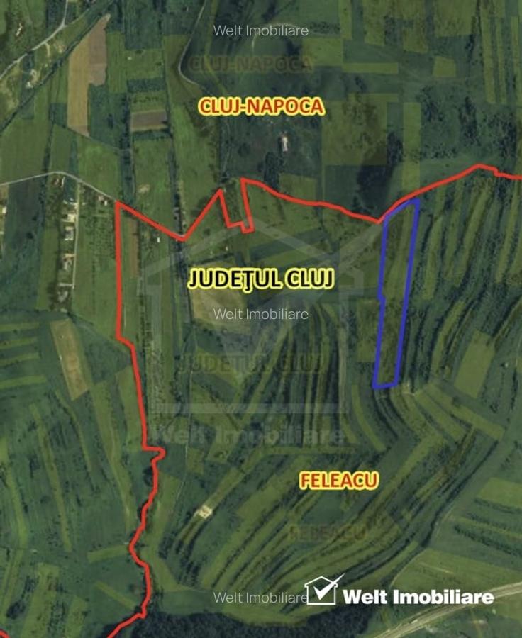 Teren investitie Sopor, pret imbatabil - 5