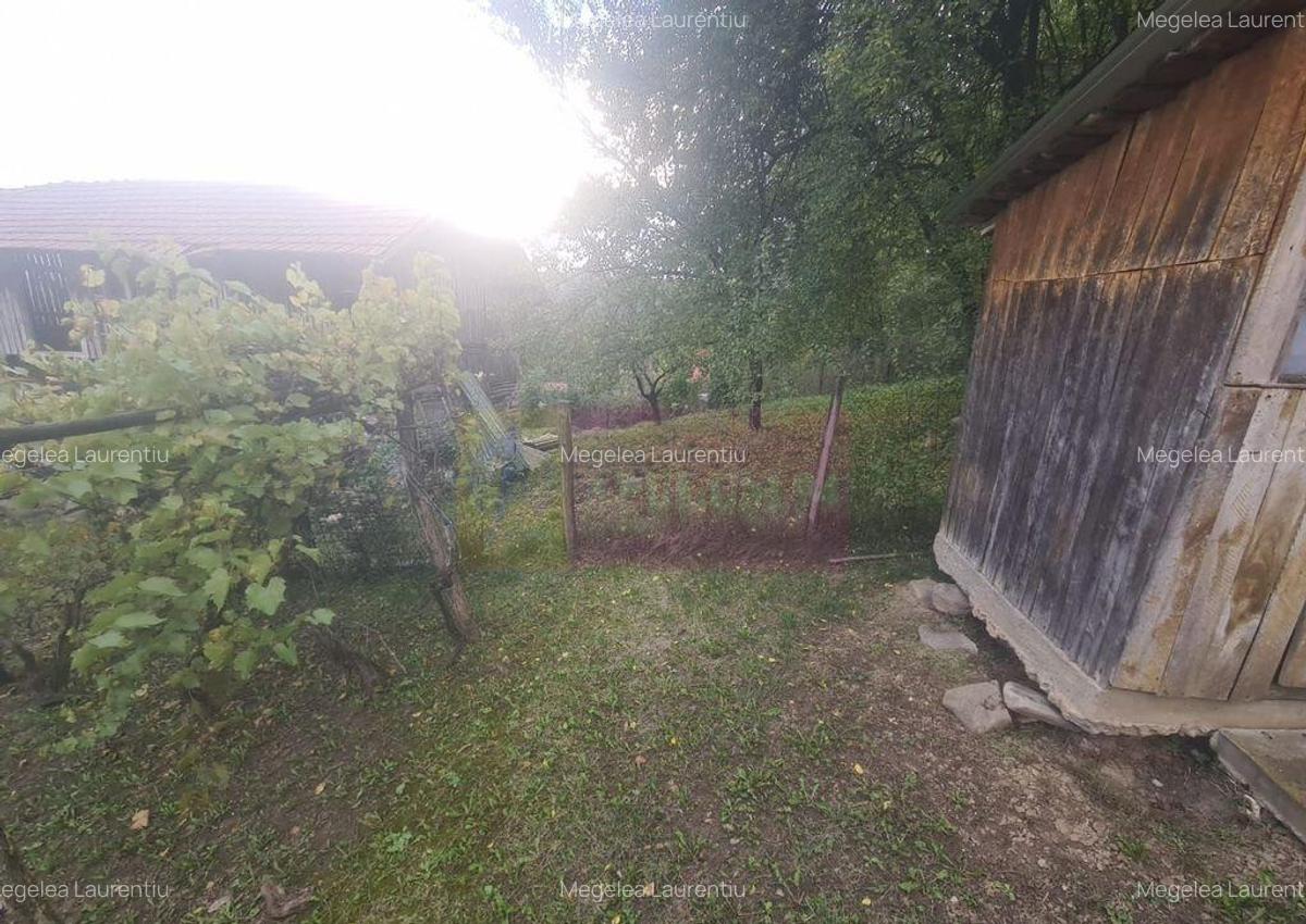 Casa batraneasca cu teren (4.910 mp) la Alunis - 8