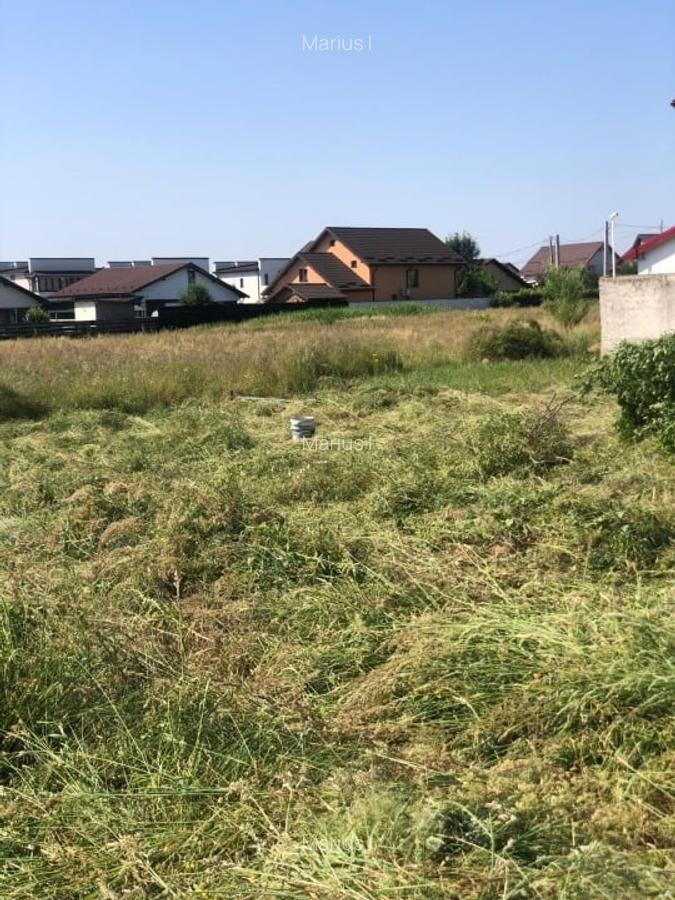 Vand teren intravilan pentru constructie casa - 6