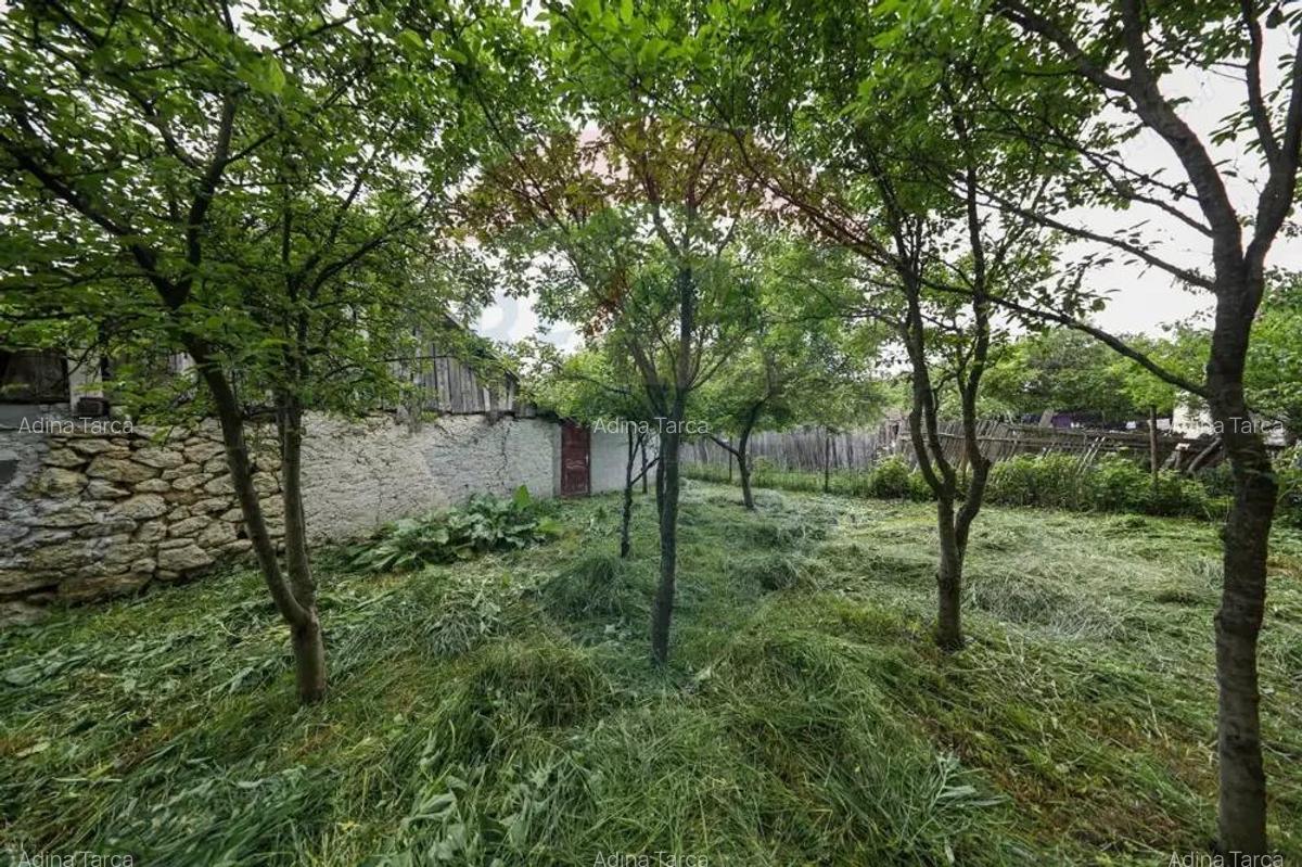 Casa spatioasa cu anexe si gradina in localitatea Ungra/Brasov - 10