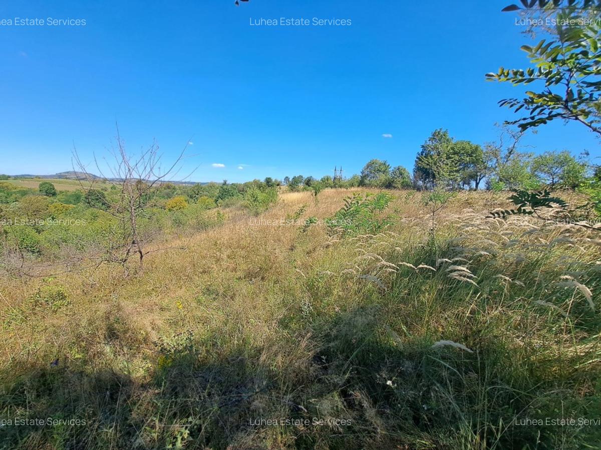 Teren 4647mp intravilan in spatele Spitalului Județean Reșița - 3 Teren 4647mp intravilan in spatele Spitalului Județean Reșița - 3