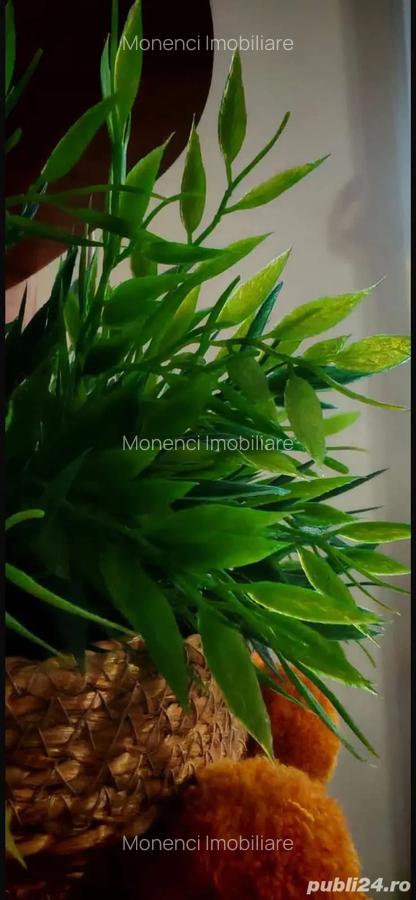 Apartament 2 camere, Parter, Aleea Calinului, Oradea. - 18 Apartament 2 camere, Parter, Aleea Calinului, Oradea. - 18