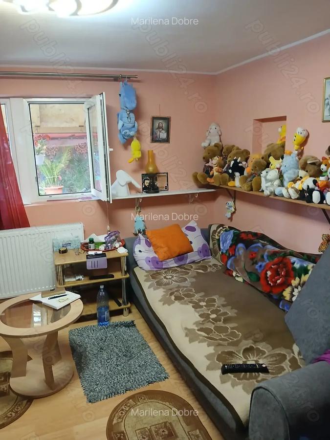 Casa deosebita de vanzare - 8