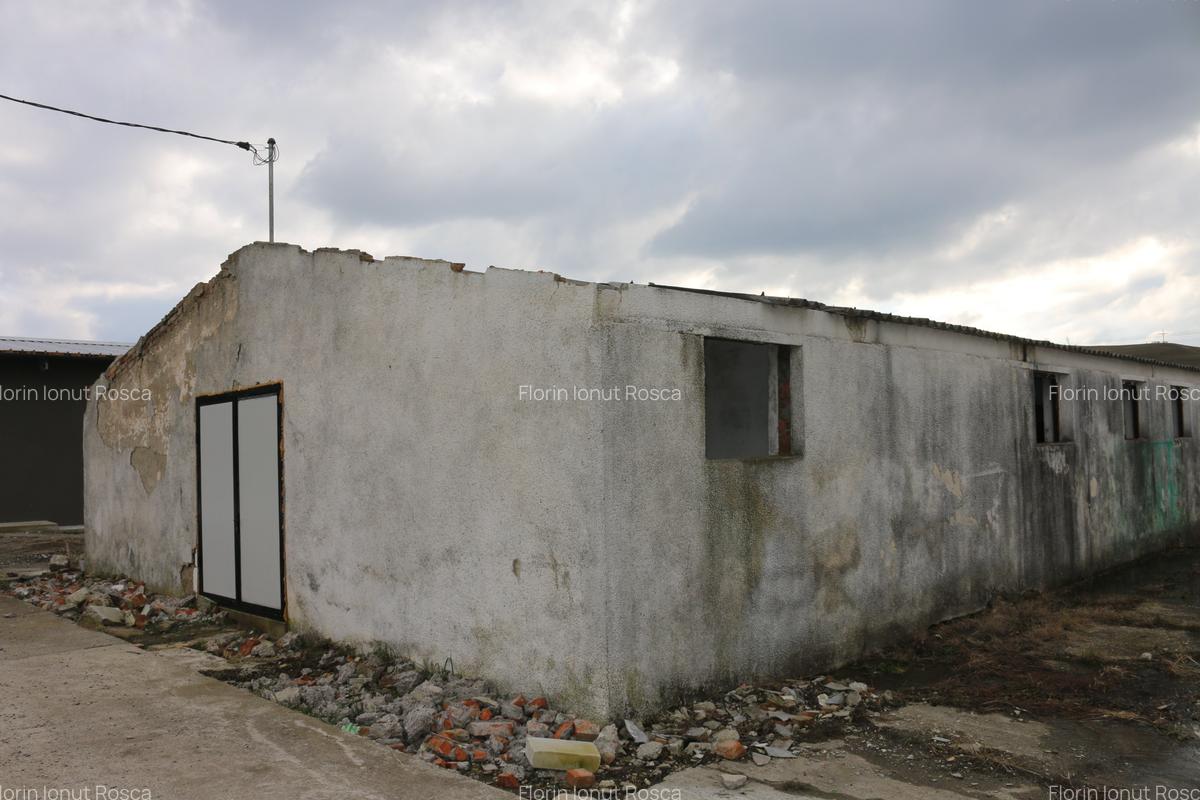 Spațiu industrial, 600 mp în Lețcani - 4