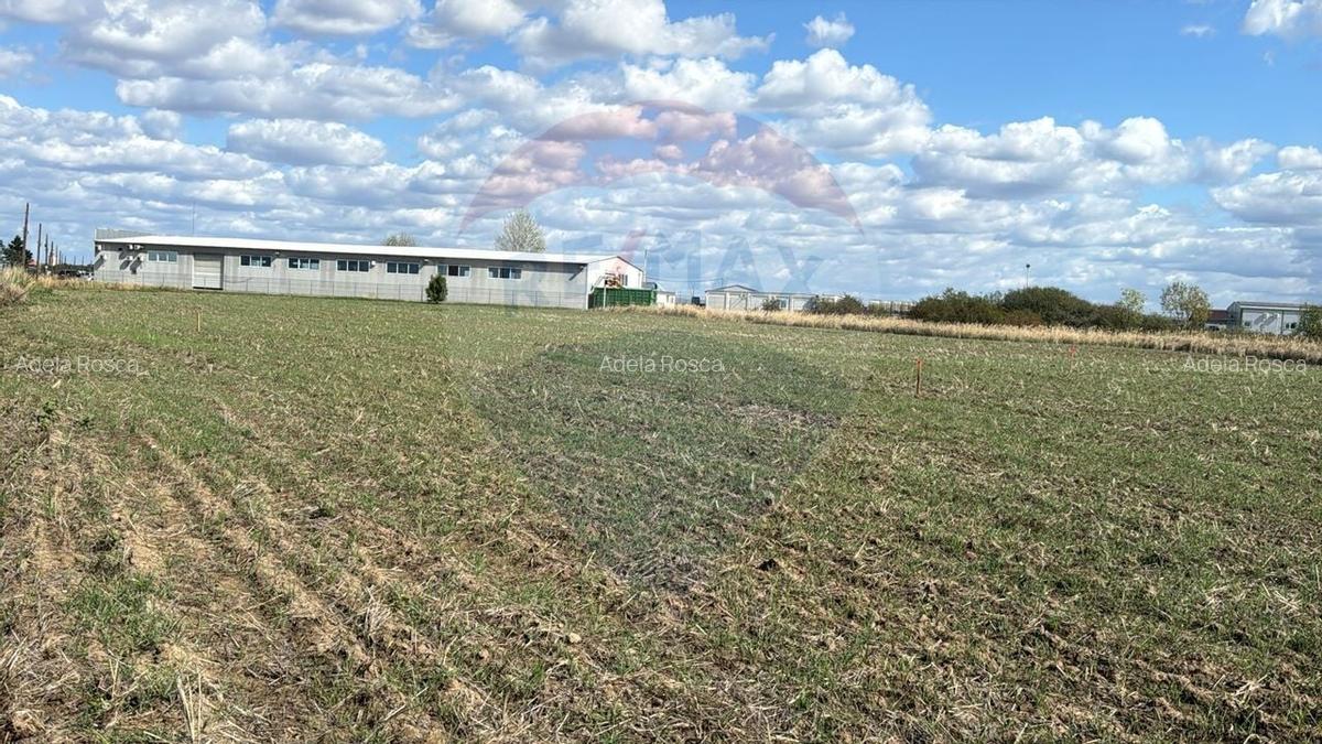 Teren 1 503 mp de vanzare, Nojorid , Soseaua DN79 - 4