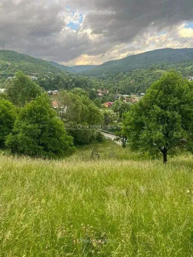 Teren intravilan 7426 mp de vanzare in Valea Doftanei utilitati la limita proprietatii - 4