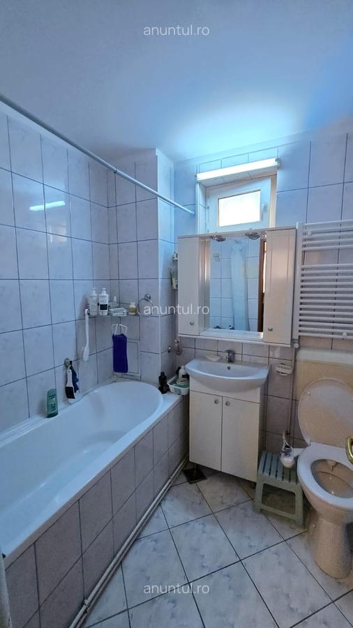 Drumul Taberei- Brancusi - 11