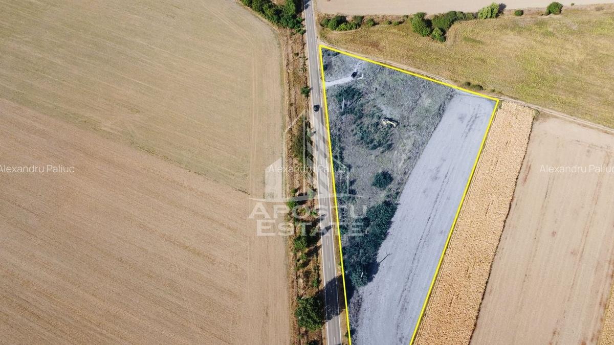 Teren Servicii, Sport si Agrement, 11200 mp,  langa centura Sag - 2