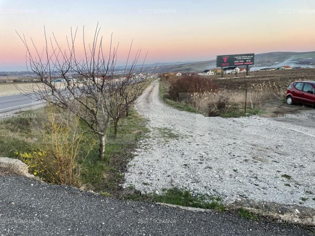 Hala cu cladire birouri, 14400 mp teren, in Copaceni - 11
