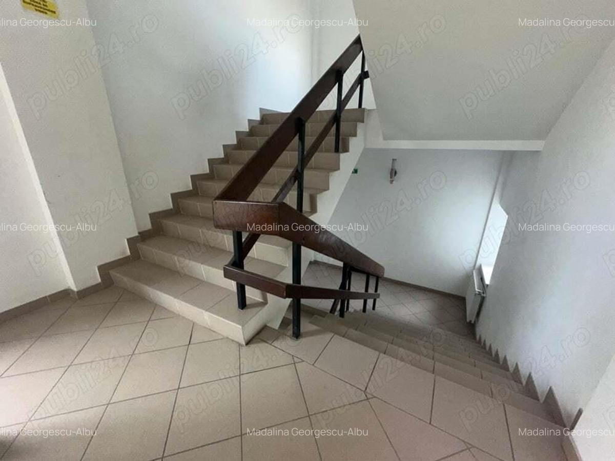 Theodor Pallady stradal birou 410 mp utili LIBER - 1