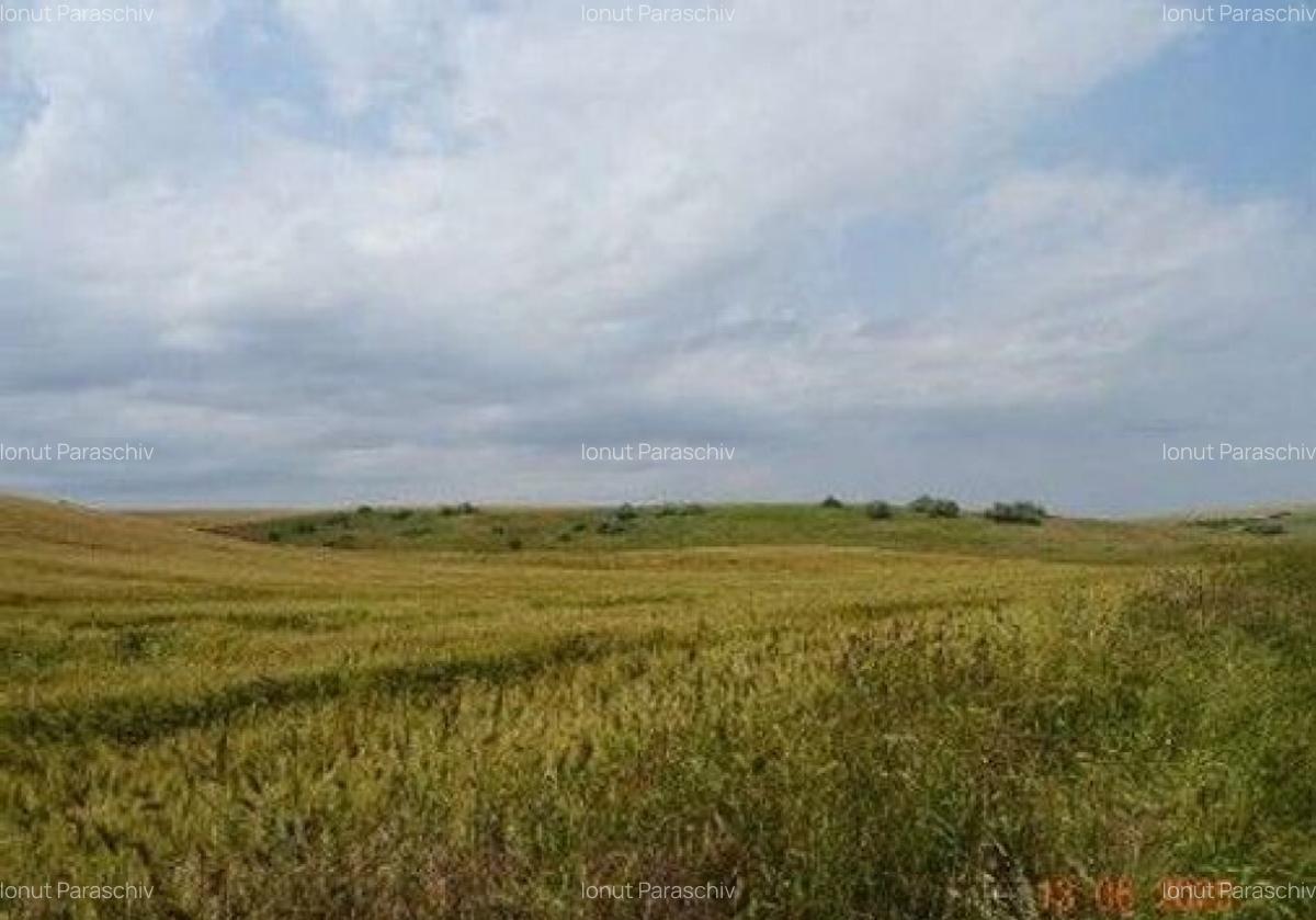 Teren extravilan Oltina, cota parte 1/2, ID: R2610910 - 2
