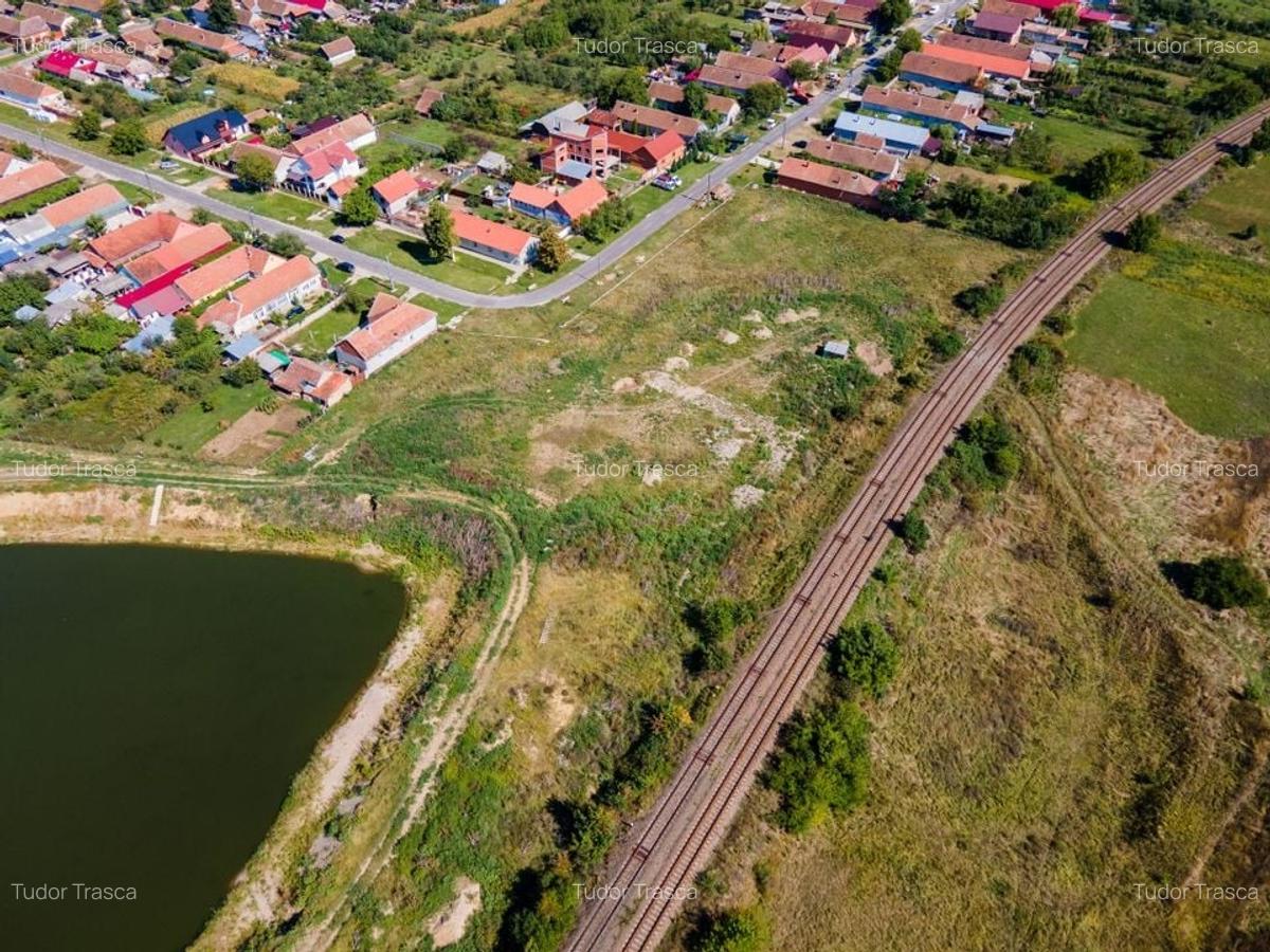 Teren intravilan construcții în Sântana - 3