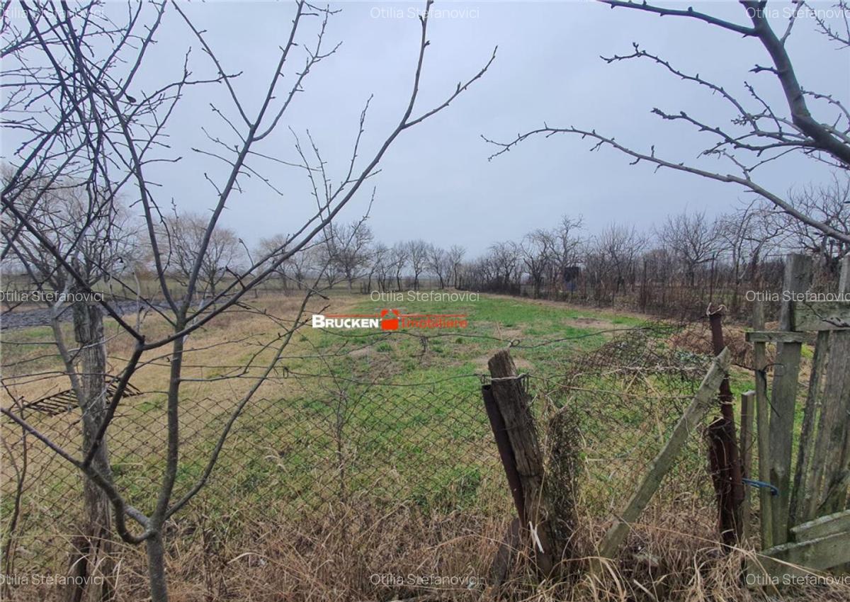 Casa cu teren aferent - 4