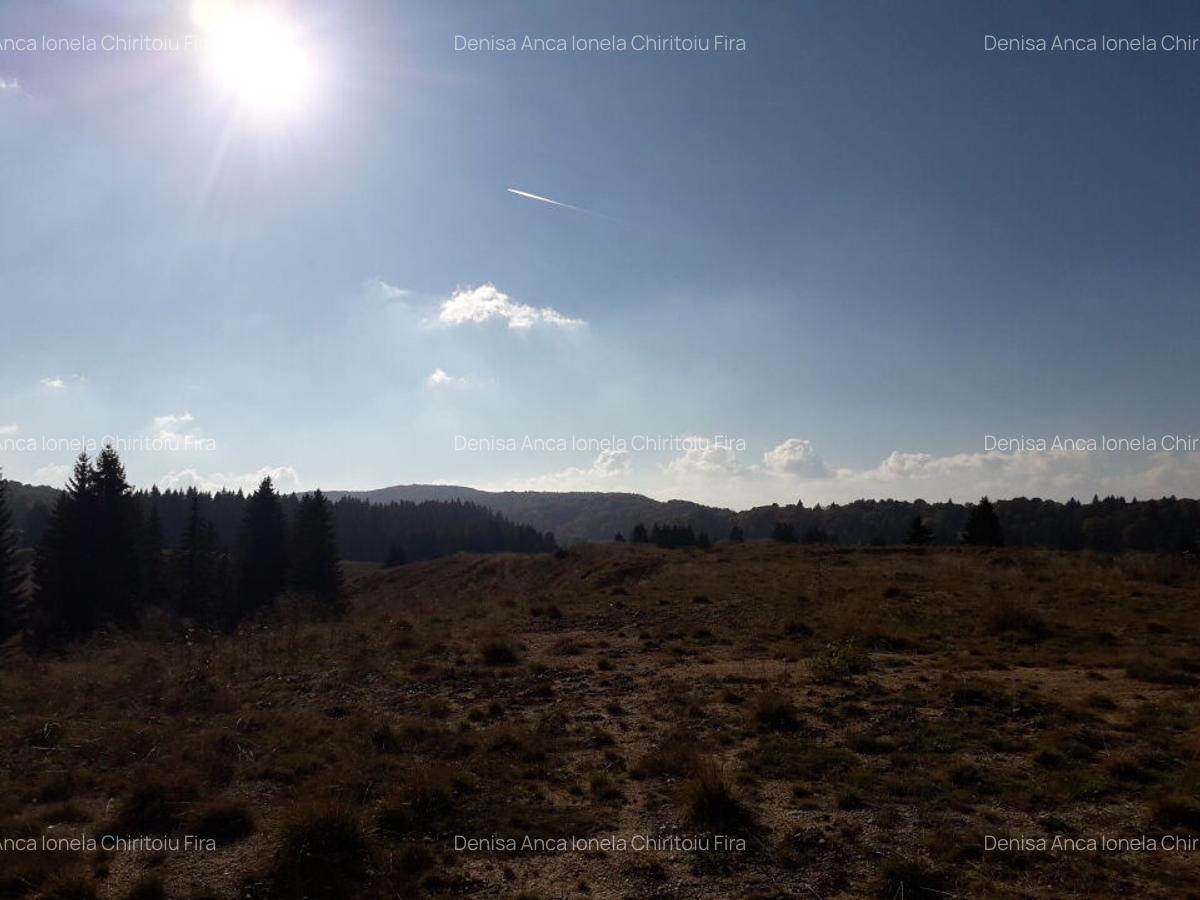 Ocazie unica la licitatie: Teren cu Potential Turistic Major in Poiana Brasov - 5