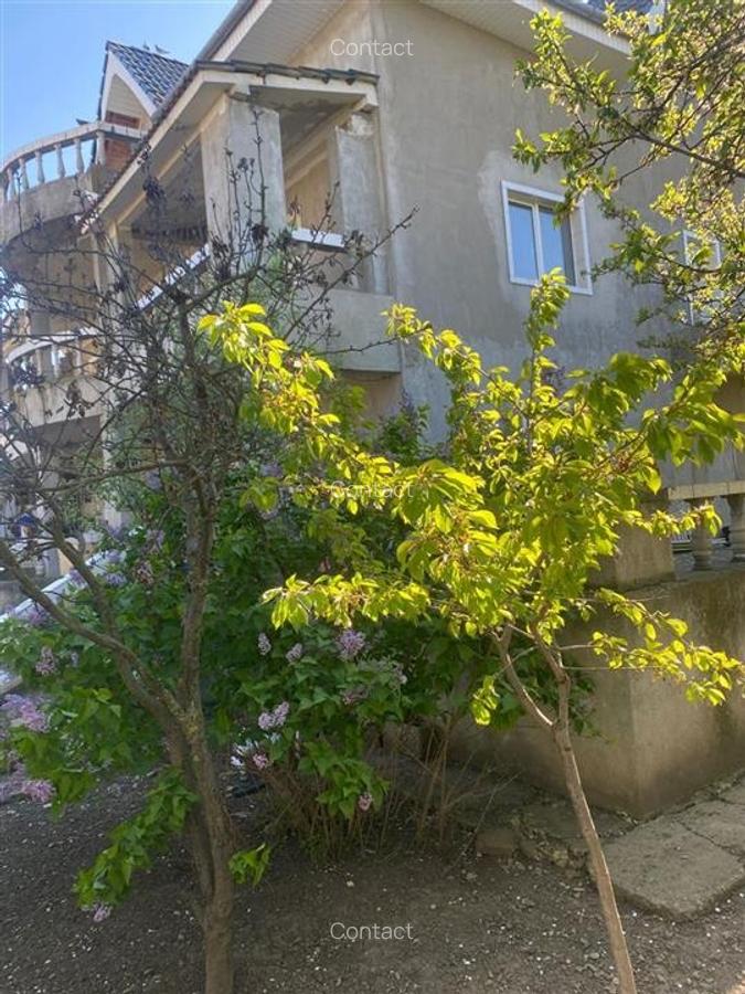 Vila P + 1 si  teren atat ptr.bussines cat si ptr locuit Onesti - 3
