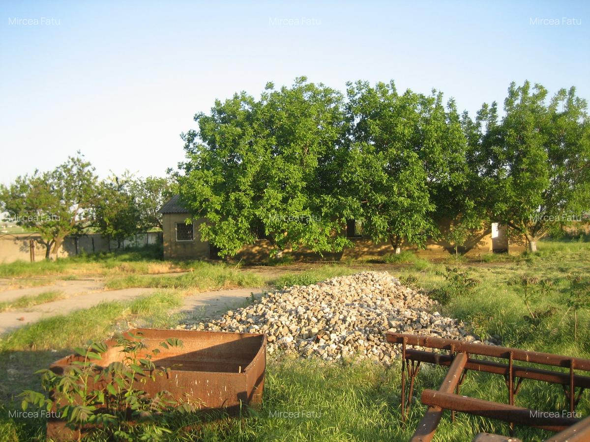 Teren Construcții intravilan de 14613 mp, în Poarta Albă - 6