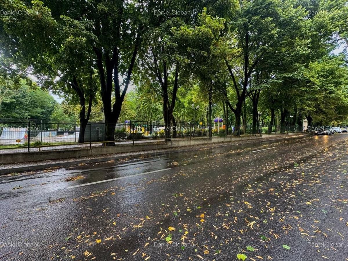 Vânzare Casă cu aplasare Strategică - Copou - Parcul Expoziției - 17