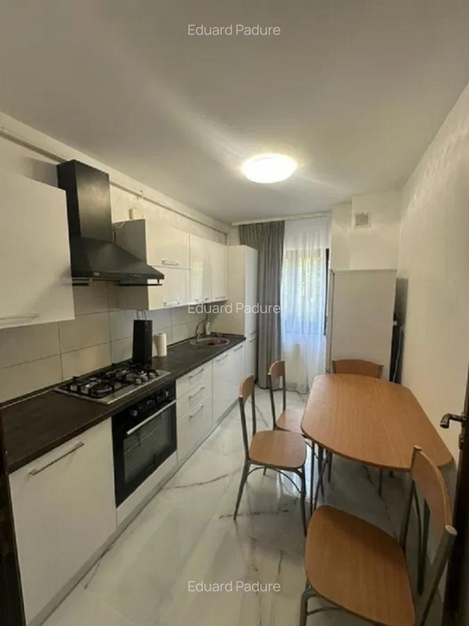 Apartament 1 camera -Podu de fier- - 2