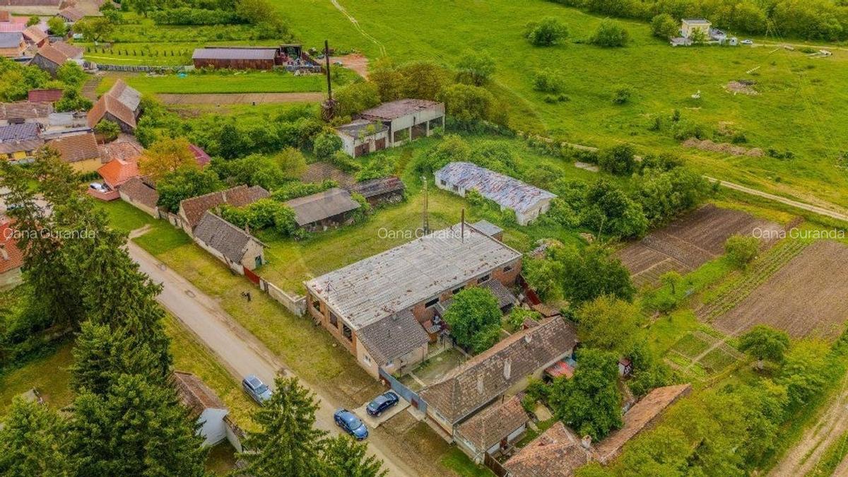Comision0 % Oportunitate investitie Sercaia/Tineri doritori de altceva - 1