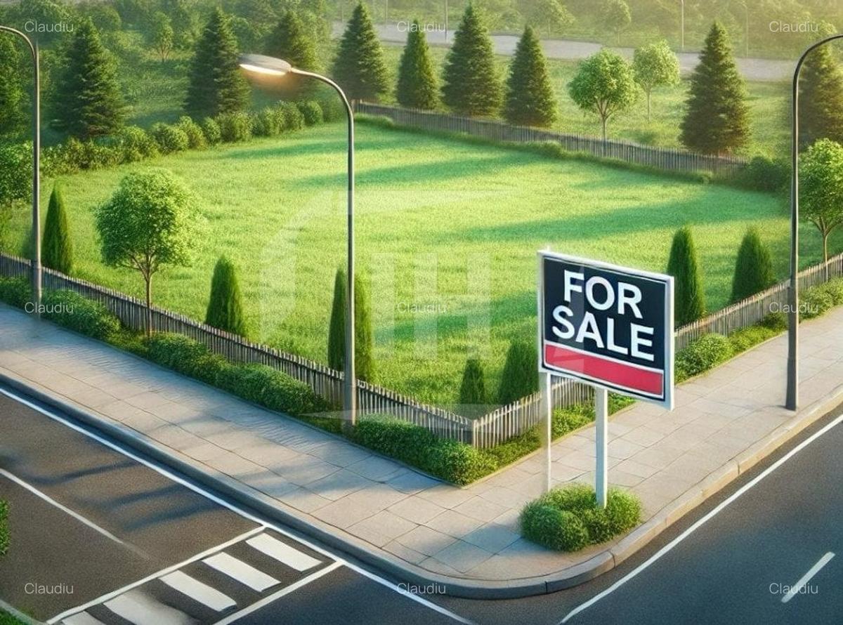 Oportunitate investitie! Teren ideal pentru casa in Faget - 1