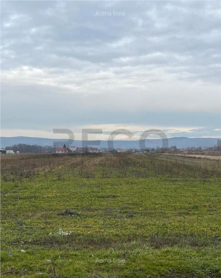 RECO Teren intravilan cu PUZ in Osorhei - 2