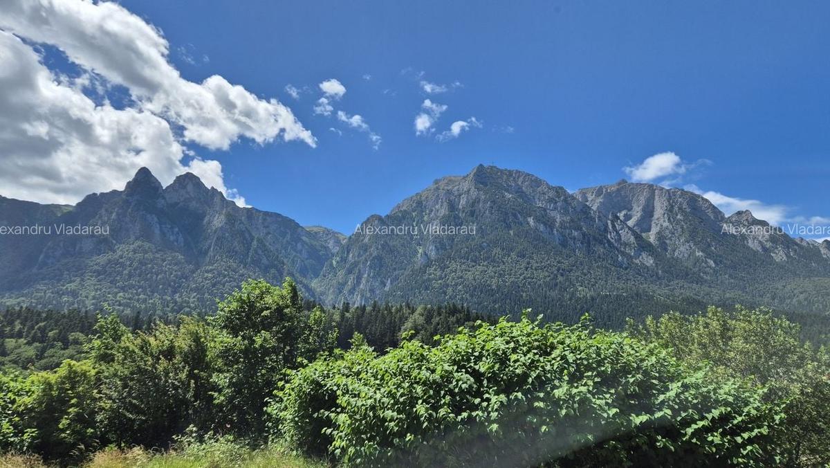 Studio 49,35 mp + 21,35 mp terasele + loc de parcare - Busteni - 3