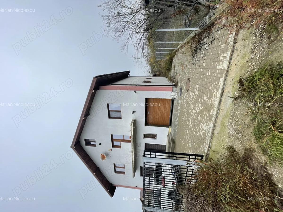 Casa Teghes-Domnesti - 4