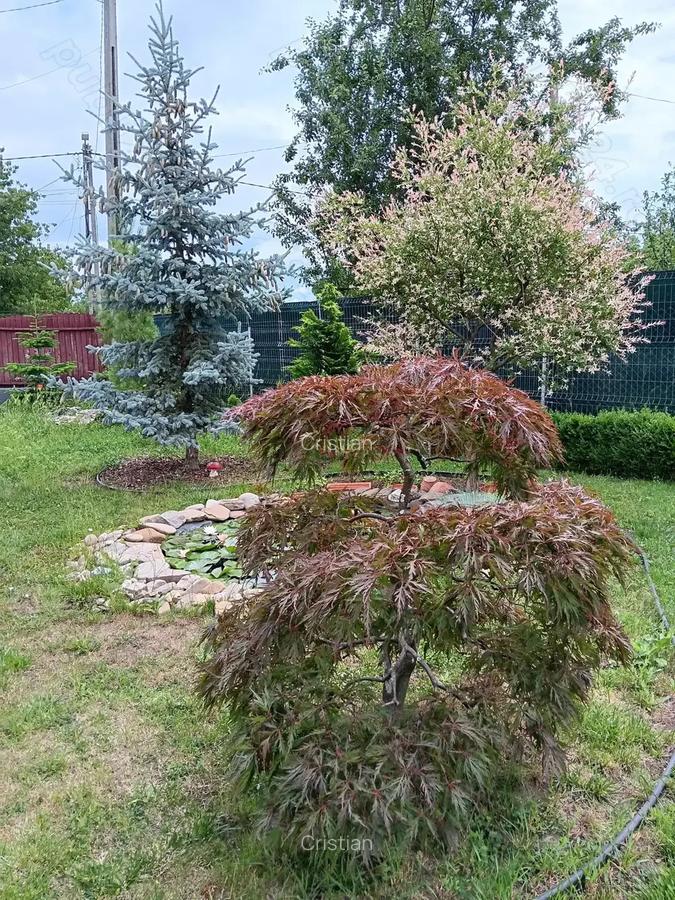 Urgent .Proprietar, parter la casa cu etaj, Mogosesti - Iasi, 10 km - 5