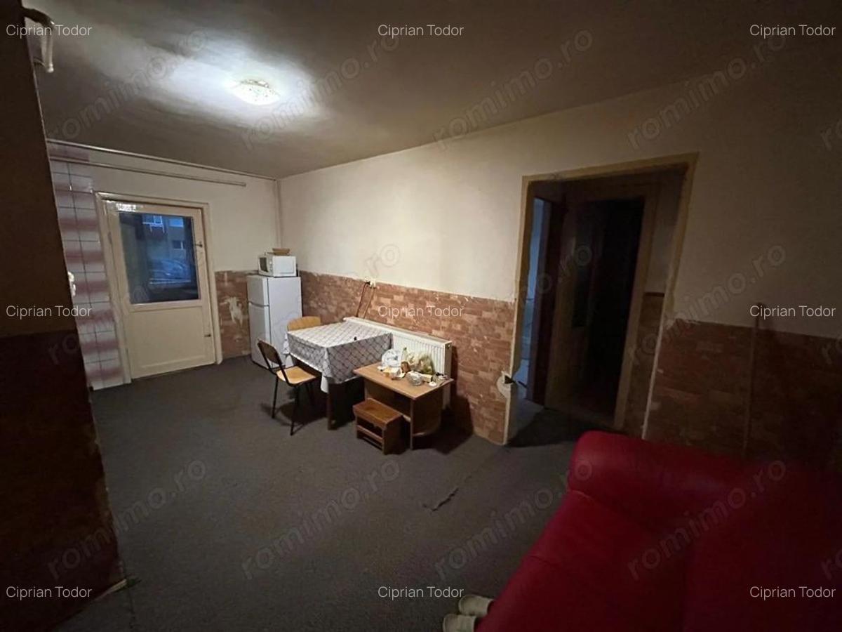 Apartament 2 camere, parter - zona Cetate - 9