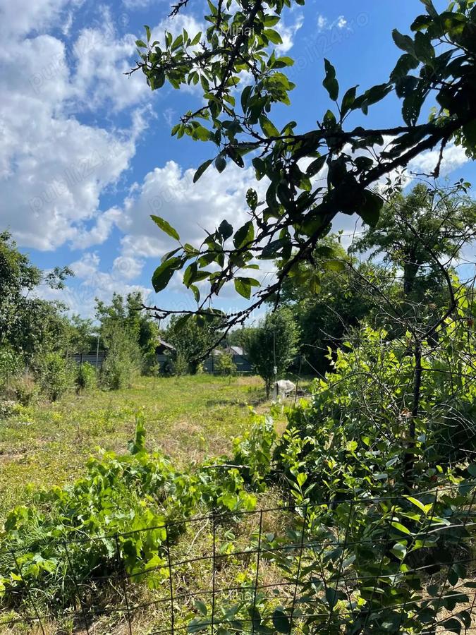 Teren cu casa in comuna Iepuresti, judetul Giurgiu - 3