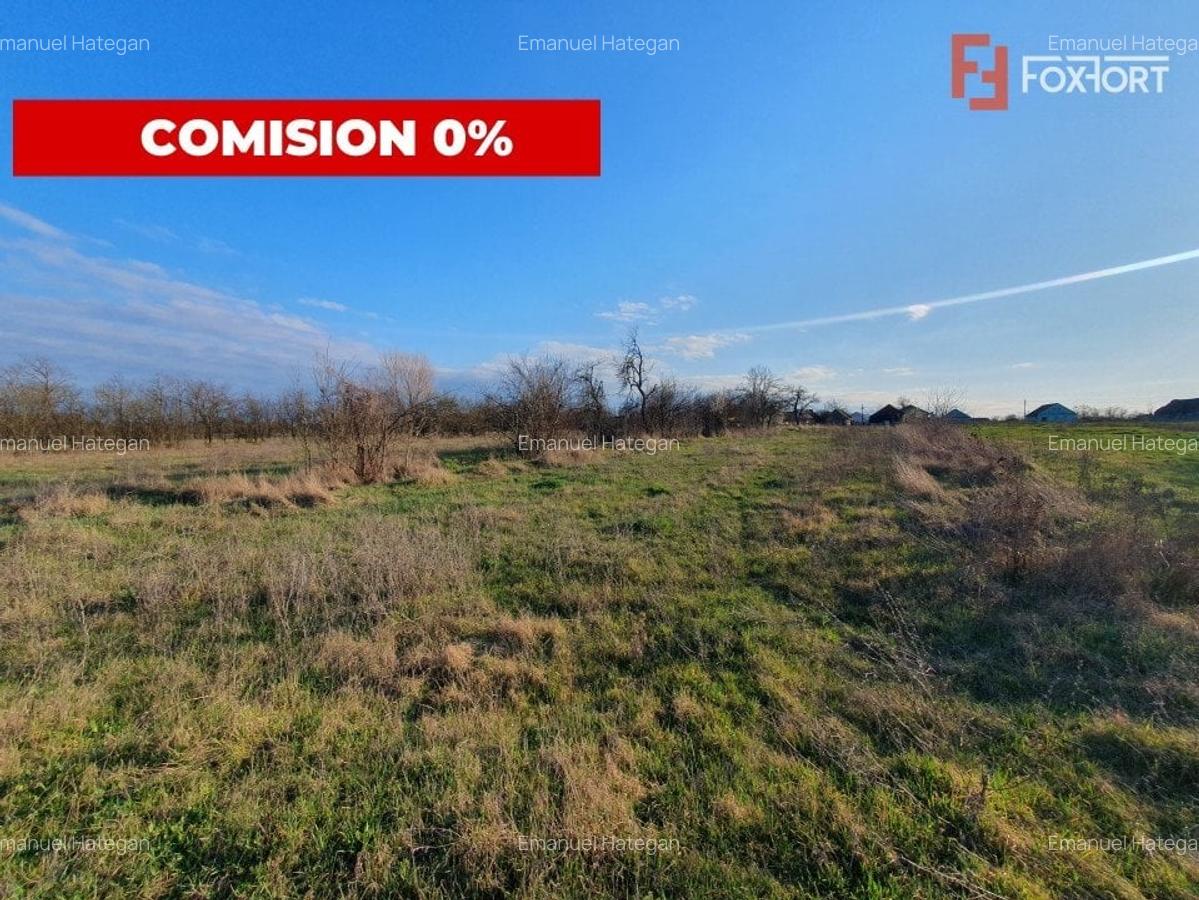 COMISION 0% Casa individuala cu teren de 3930 mp - Padureni - 1