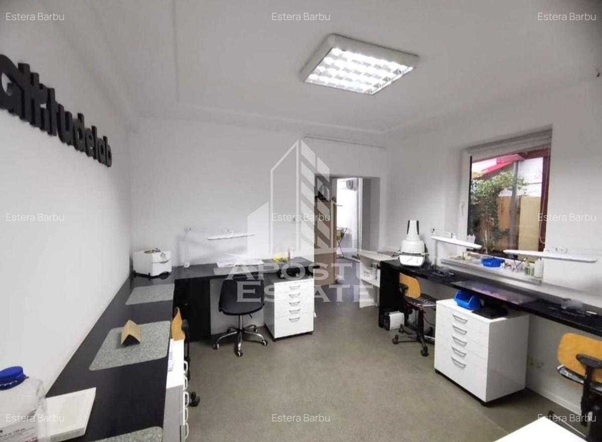 Casă individuală cu 9 camere în Iosefin - 4