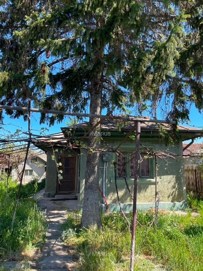 Casa la curte cu teren de circa 1000 mp în municipiul Călărași - 3