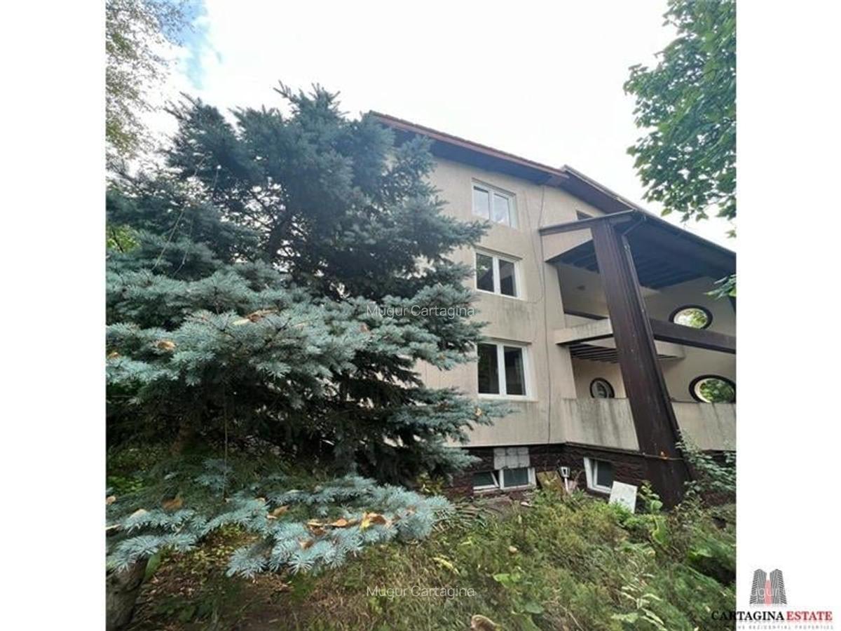 Vila individuala / S+P+1E+M /Iancu Nicolae-Zoo / necesita renovare - 3