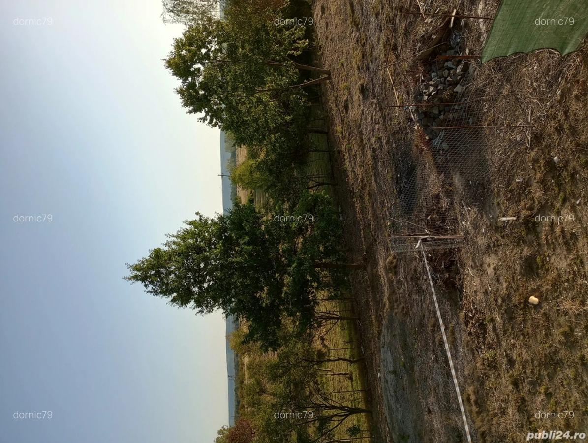 Teren Bascov Dealul Glambocului - 7