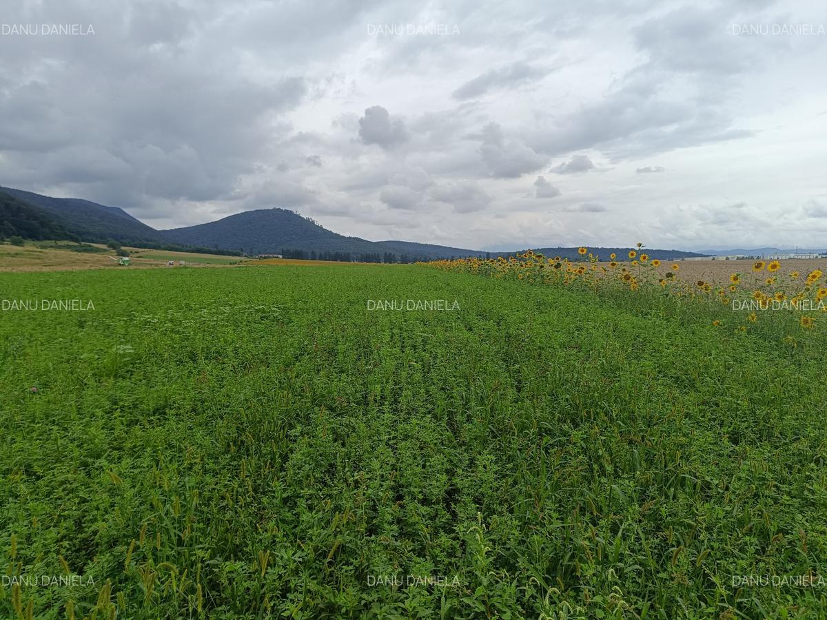 De vanzare - Teren intravilan pentru constructii – 16.500 mp / 0% comision - 10