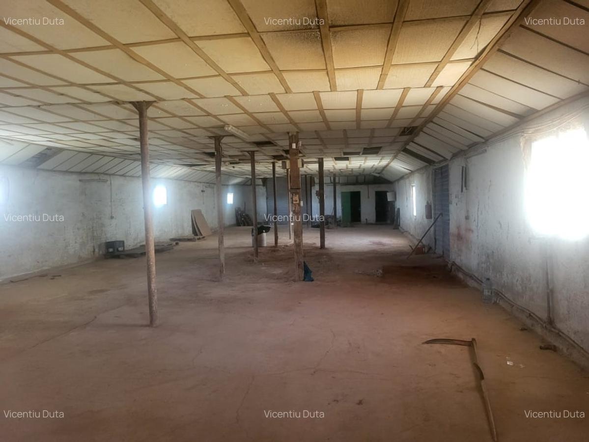 VAND FABRICA DE PAVELE, HALE INDUSTRIALE, LIVADA POMI FRUCTIFERI, BIROU - 4