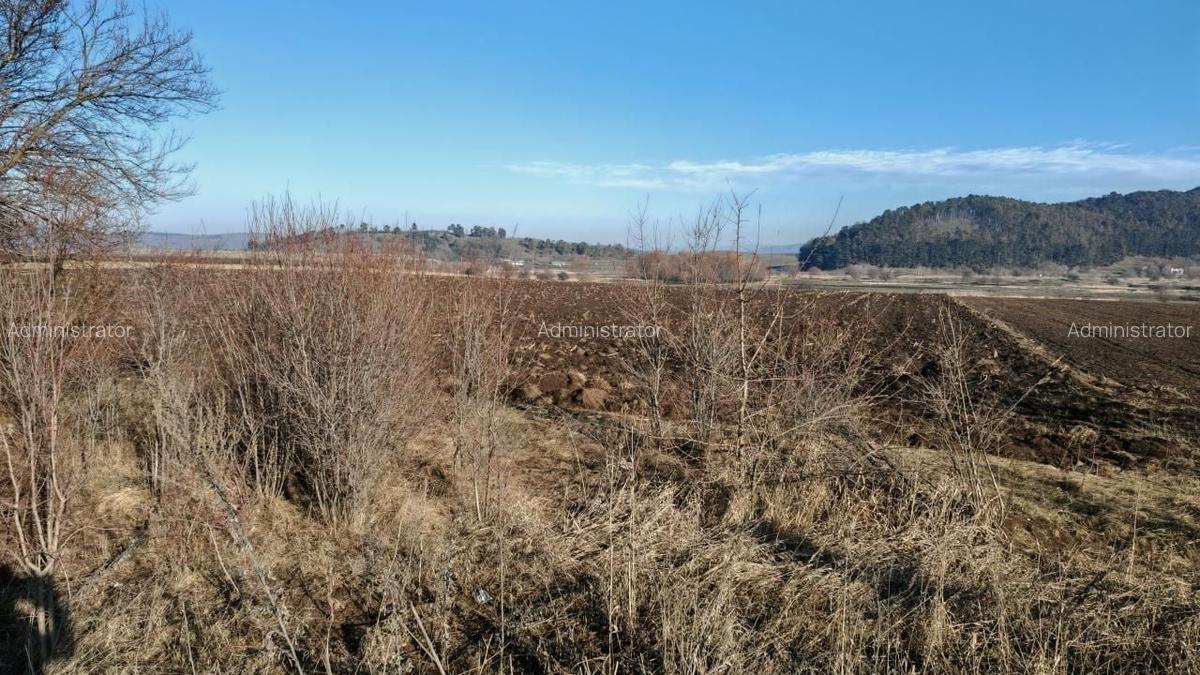 Teren intravilan,428 mp,SANPETRU iesirea spre BOD, utilitati. - 4