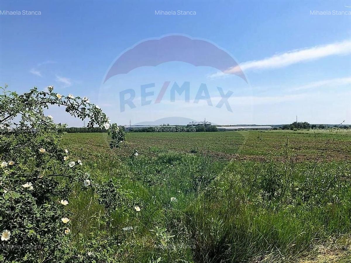 Teren  investitie/constructii industriale Pantelimon - 1