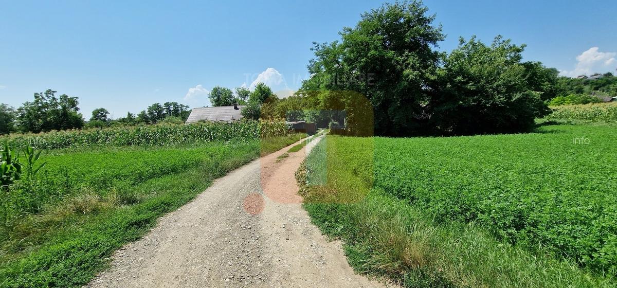Teren intravilan 4.133 mp cu dublă deschidere – Girov, Neamț | Toma Imobiliare - 1