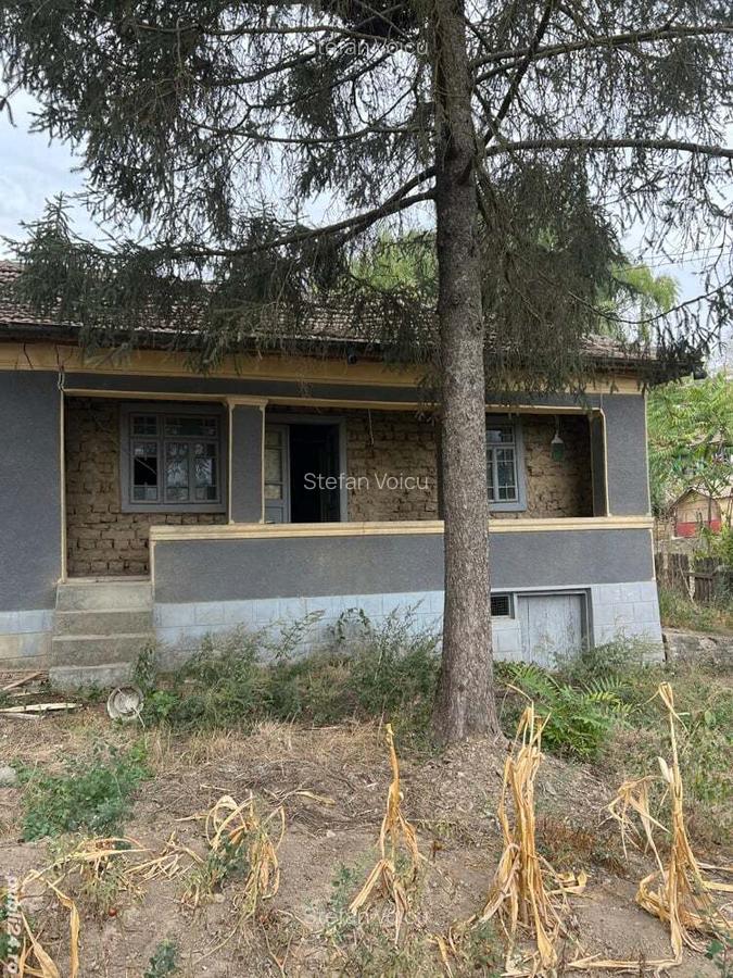 Casa de anzare con Ion corvin - 2 Casa de anzare con Ion corvin - 2