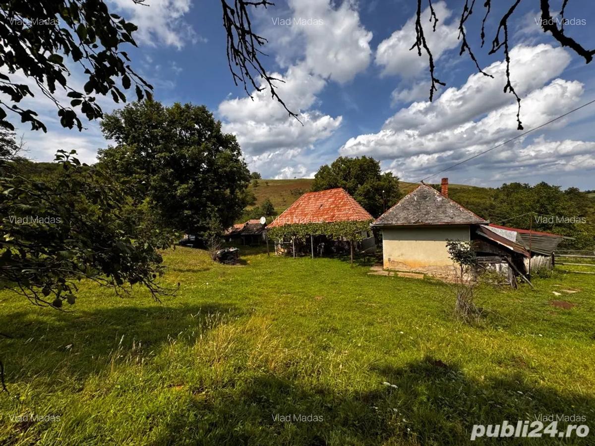 Casa de vanzare + 30.000 m teren - 5