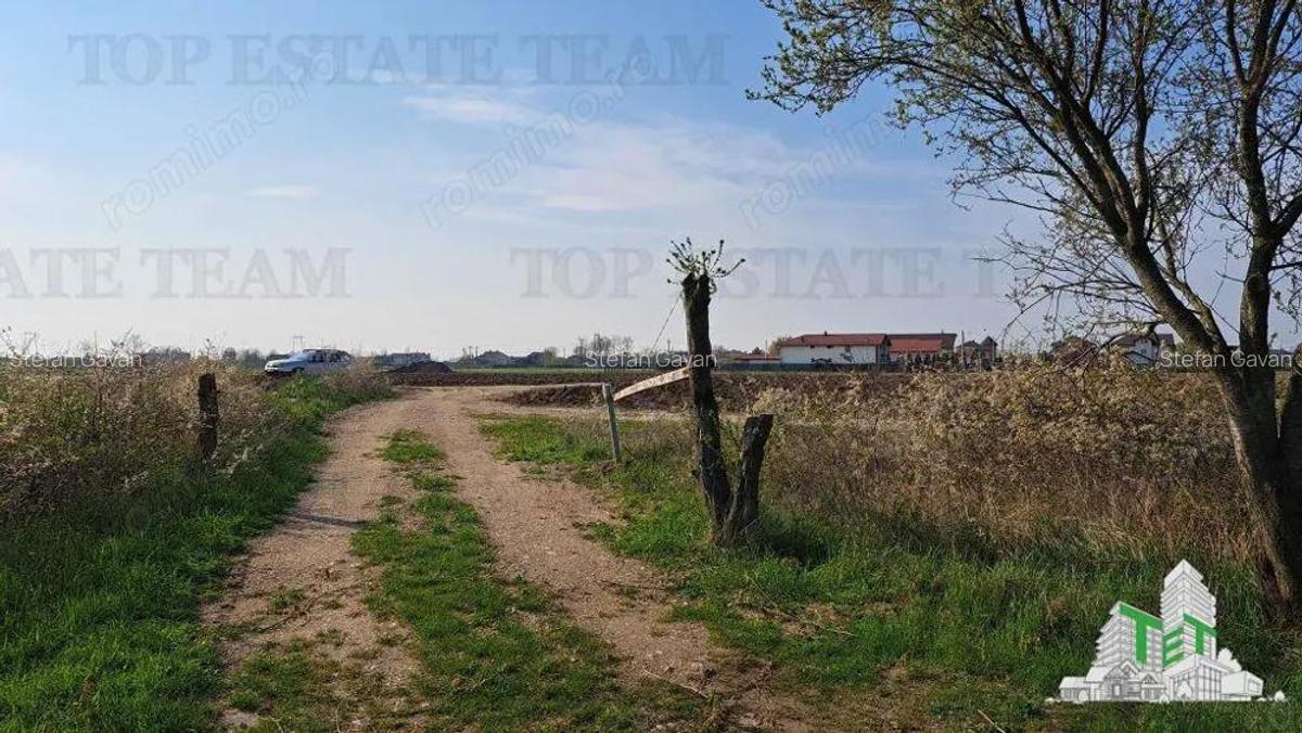 Teren 1171mp la intrare in Palanca langa Raul Sabar - 1