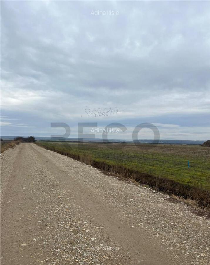 RECO Teren intravilan cu PUZ in Osorhei - 4