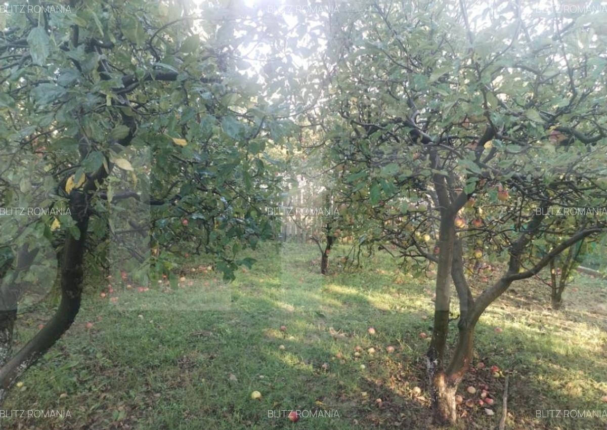 Casa tradi?ionala cu teren generos Brae?ti, Boto?a - 4