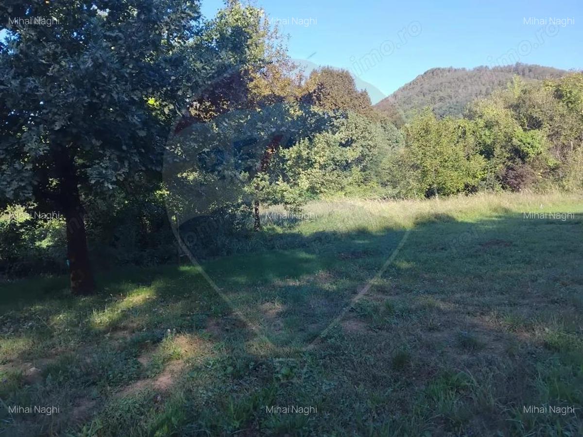 Teren 1,552mp Cicarlau - 2