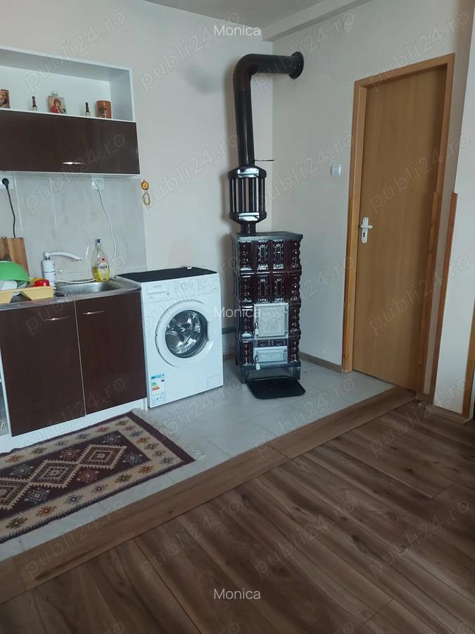 Casa tip cabana cu livada jud Alba - 3