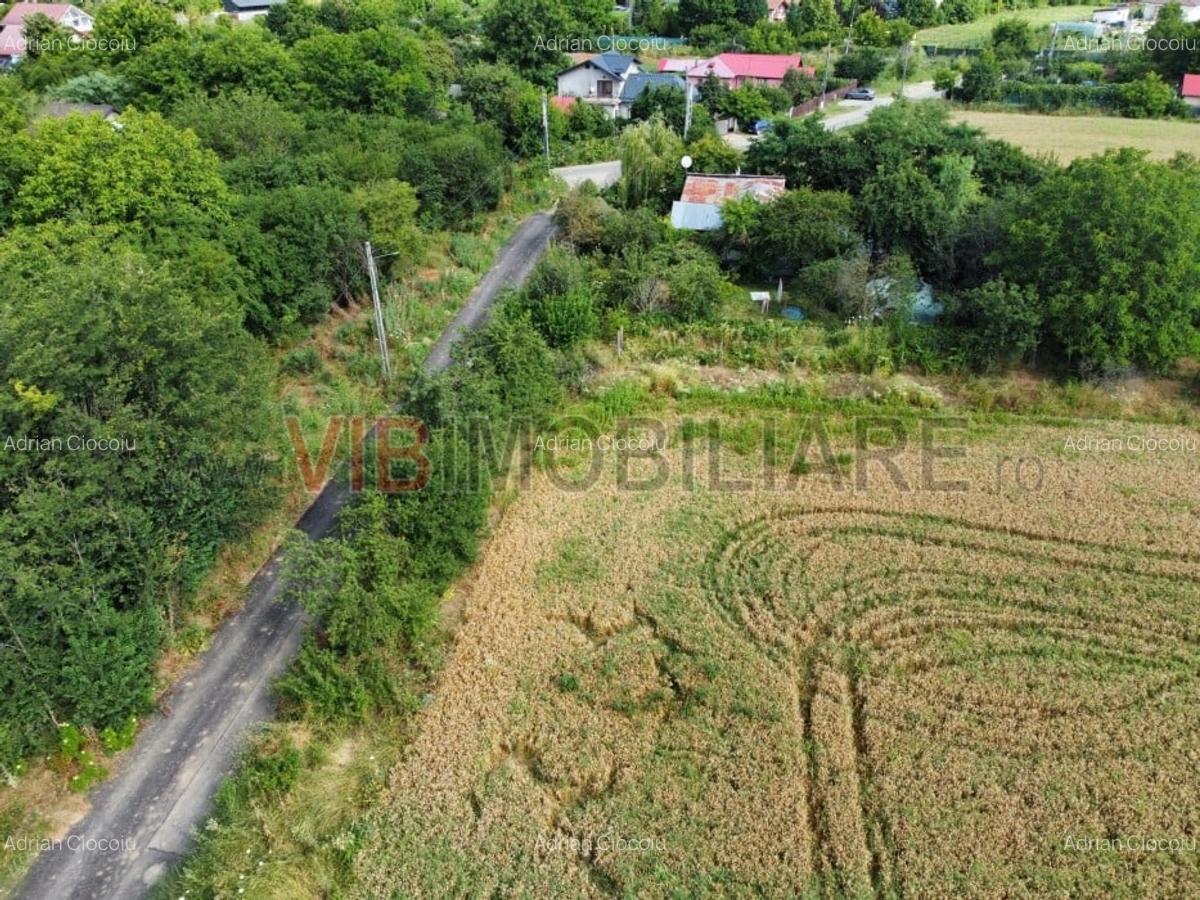 Teren Gruiu - 5000 mp - doua deschideri - intravilan - 2